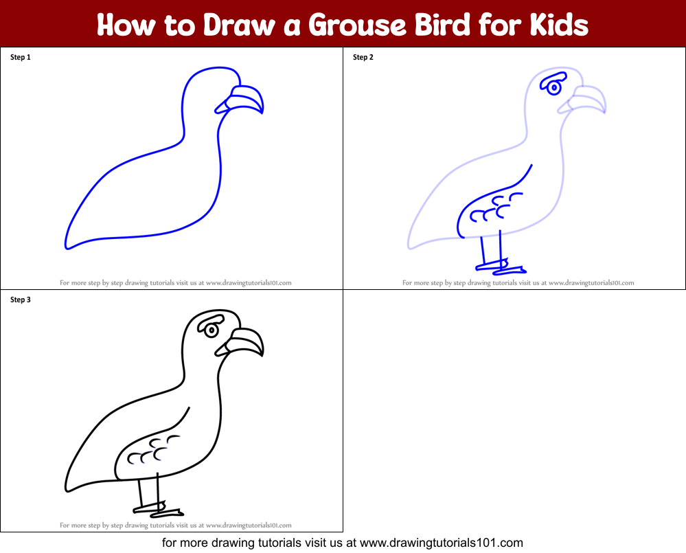 How to Draw a Grouse Bird for Kids Printable Step by Step