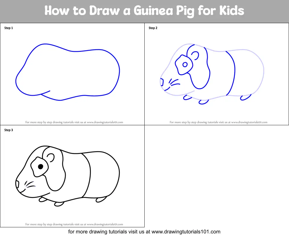 How To Draw A Guinea Pig For Kids Printable Step By Step Drawing