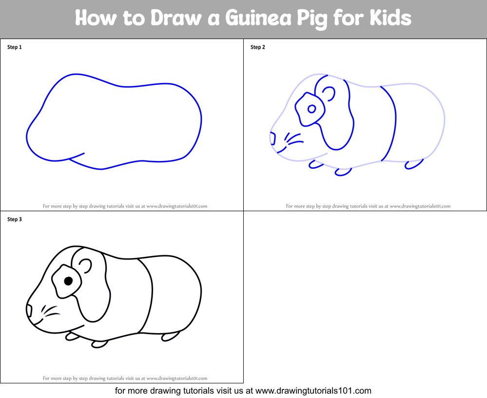 How to Draw a Guinea Pig for Kids Printable Step by Step