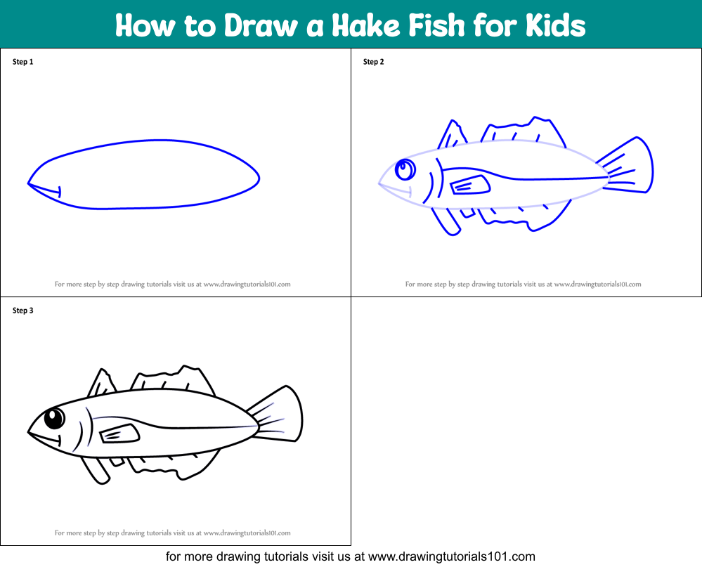 How to Draw a Hake Fish for Kids Printable Step by Step