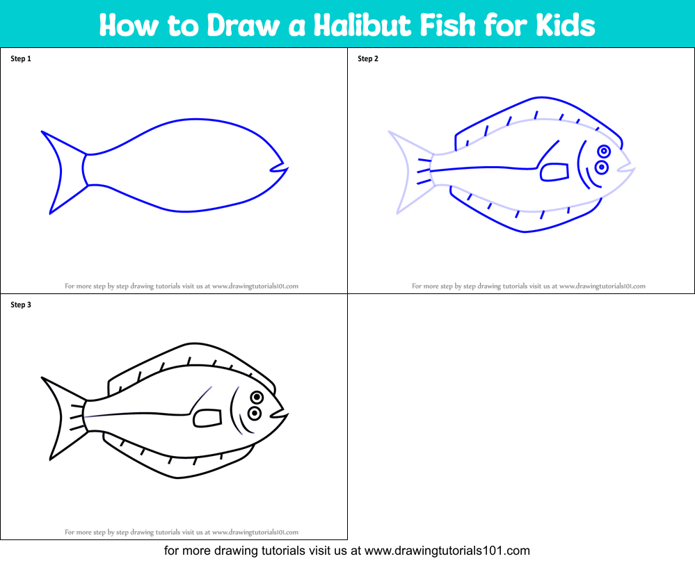 How to Draw a Halibut Fish for Kids Printable Step by Step