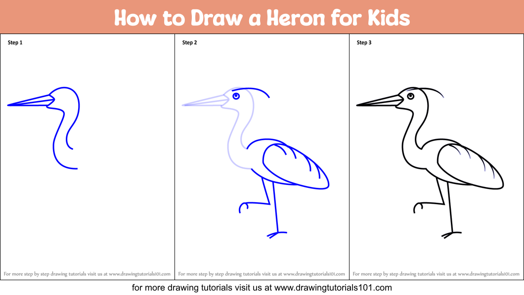 How to Draw a Heron for Kids Printable Step by Step