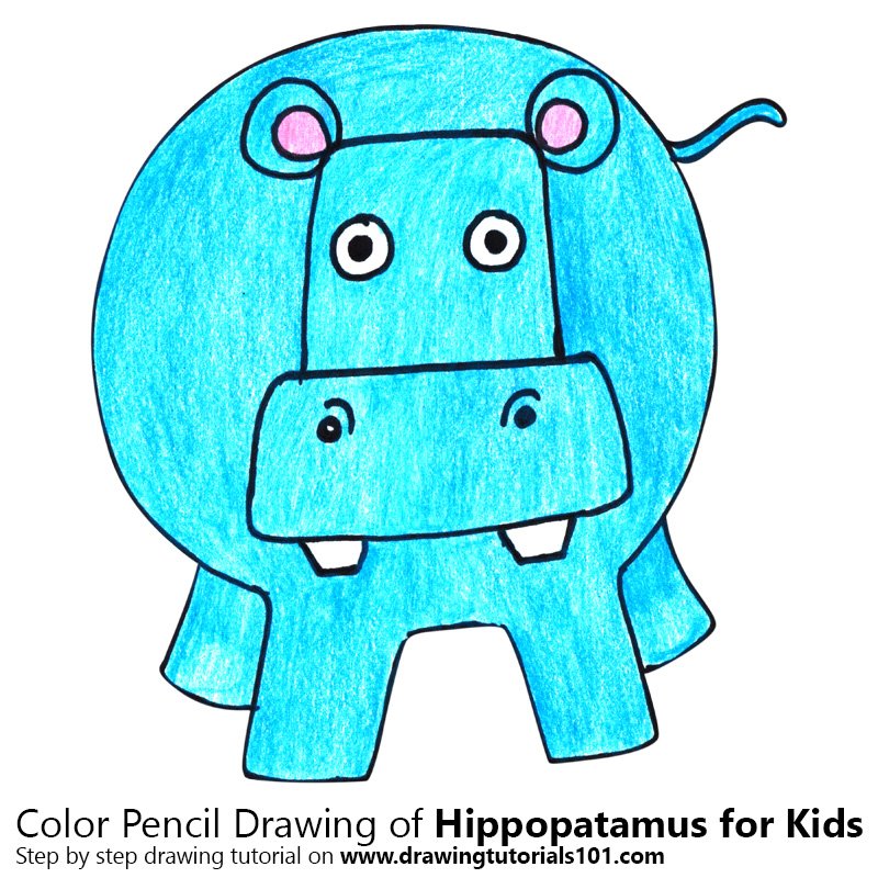 How to Draw a Hippopatamus for Kids by Color Pencils