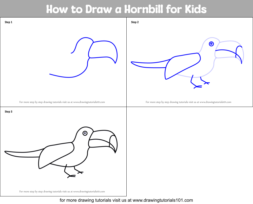How to Draw a Hornbill for Kids Printable Step by Step