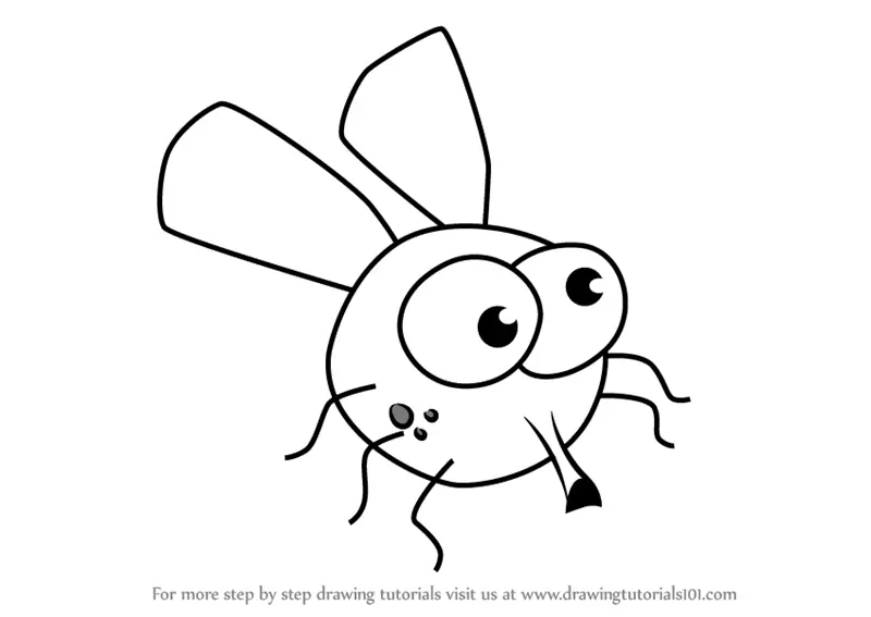 Learn How to Draw House Fly for Kids (Animals for Kids) Step by Step