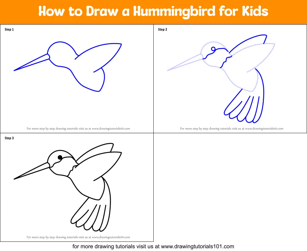 How to Draw a Hummingbird for Kids printable step by step drawing sheet