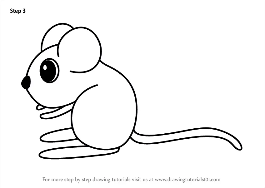 Learn How to Draw a Kangaroo Rat for Kids (Animals for Kids) Step by