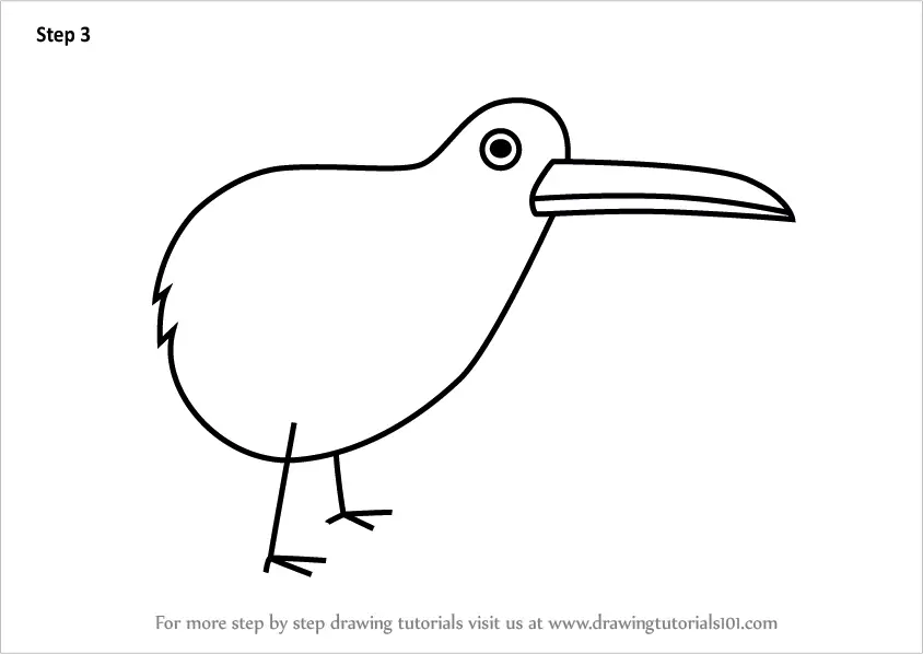 Featured image of post How To Draw A Kiwi This is one of those lessons that we create specifically for emerging artists