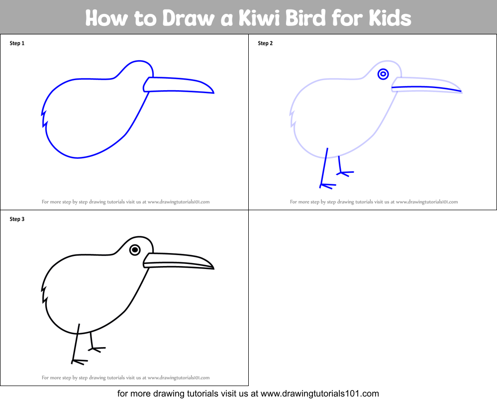 How to Draw a Kiwi Bird for Kids Printable Step by Step
