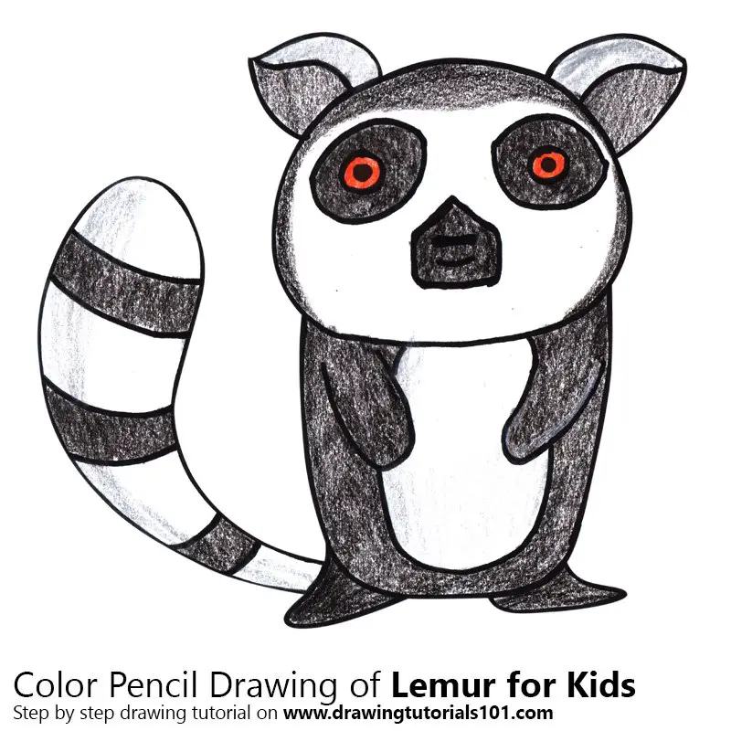 Lemur for Kids Color Pencil Drawing