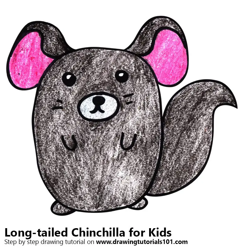 How to Draw a Chinchilla - Easy Drawing Art