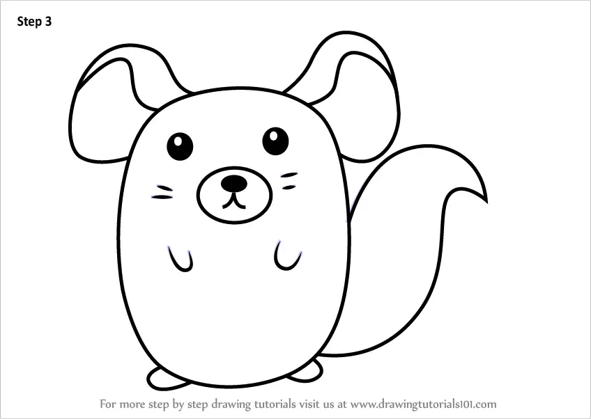 Learn How to Draw a Long - tailed Chinchilla for Kids (Animals for Kids