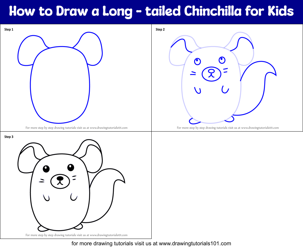 How to Draw a Long - tailed Chinchilla for Kids Printable Step by Step