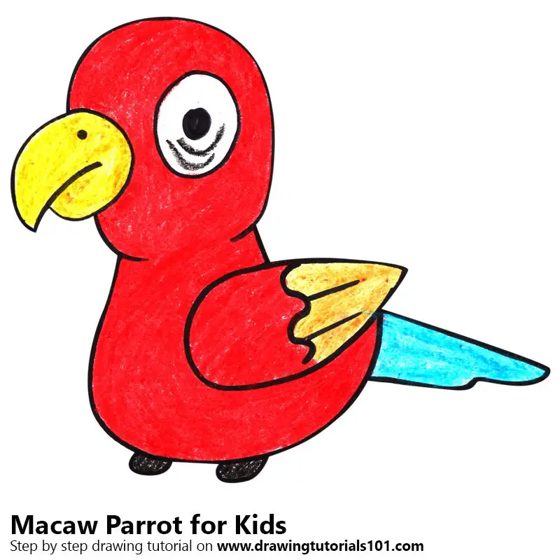 Learn How to Draw a Macaw Parrot for Kids (Animals for Kids) Step by Step :  Drawing Tutorials