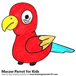 How to Draw a Macaw Parrot for Kids