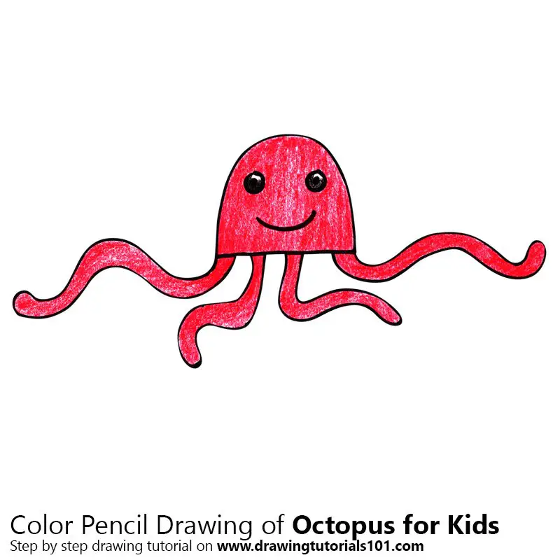 Download Learn How to Draw an Octopus for Kids (Animals for Kids) Step by Step : Drawing Tutorials