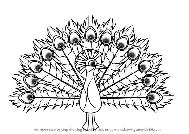 Peacock drawing - Misadison's Art - Drawings & Illustration, Animals,  Birds, & Fish, Birds, Peacocks - ArtPal