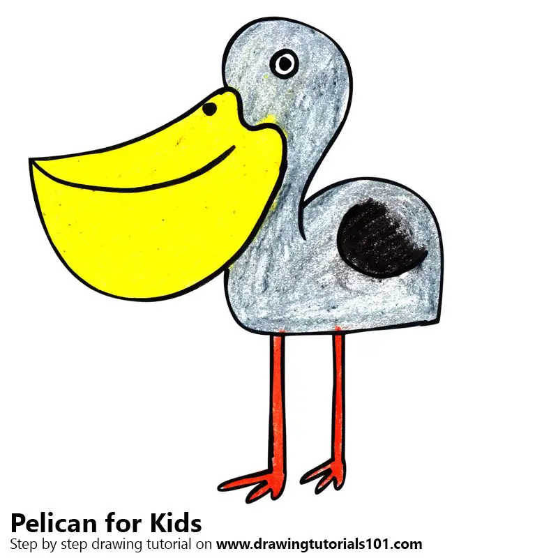 Learn How to Draw a Pelican for Kids (Animals for Kids) Step by Step :  Drawing Tutorials