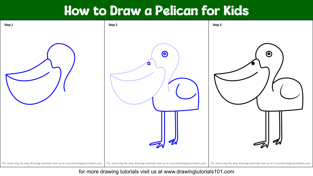 How to Draw a Pelican for Kids Printable Step by Step