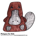 How to Draw a Platypus for Kids