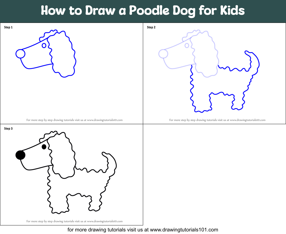 How to Draw a Poodle Dog for Kids Printable Step by Step