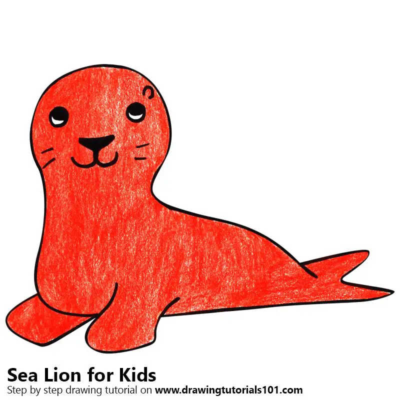 Learn How to Draw a Sea Lion for Kids (Animals for Kids) Step by Step :  Drawing Tutorials
