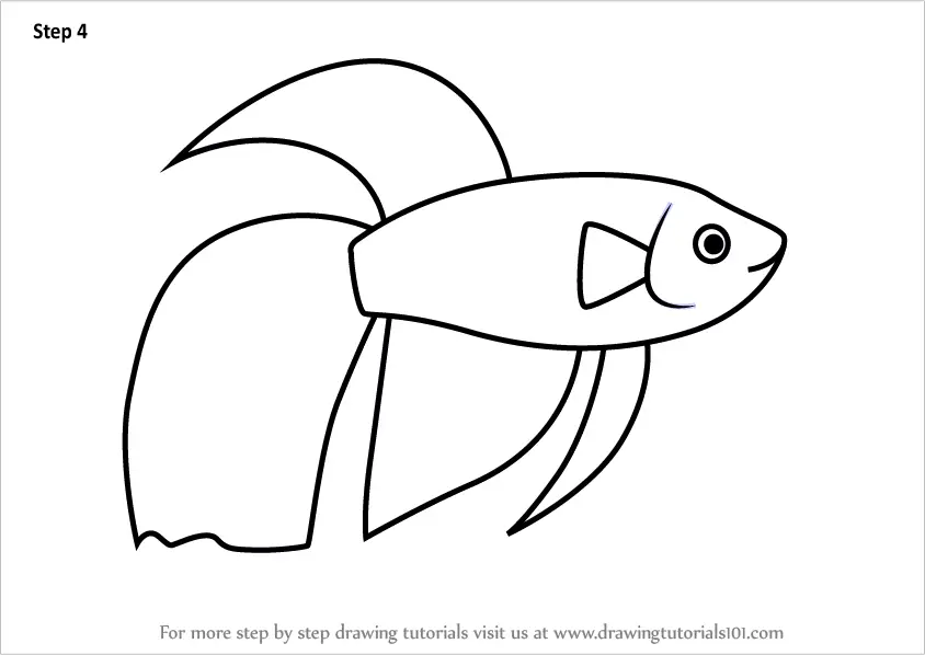 Learn How to Draw a Siamese Fighting Fish for Kids (Animals for Kids) Step  by Step : Drawing Tutorials
