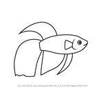 How to Draw a Siamese Fighting Fish for Kids