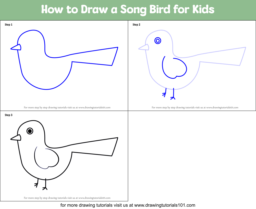 How to Draw a Song Bird for Kids Printable Step by Step