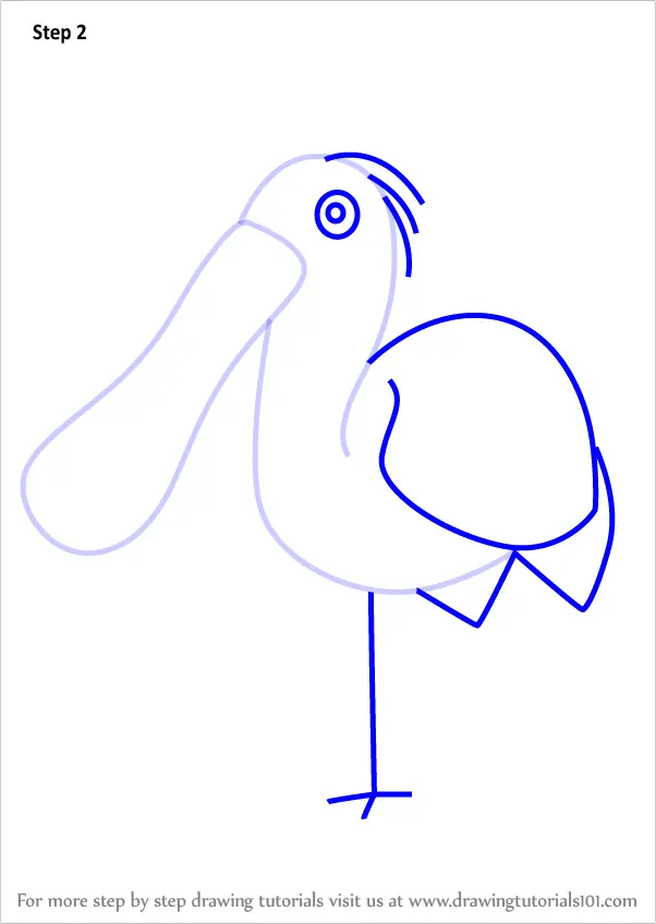 Download Learn How to Draw a Spoonbill for Kids (Animals for Kids) Step by Step : Drawing Tutorials
