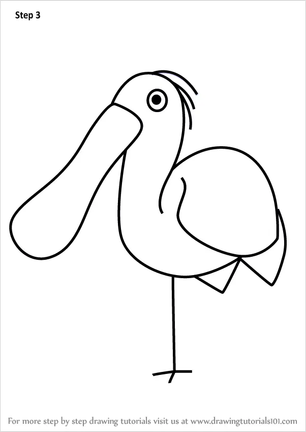 Download Learn How to Draw a Spoonbill for Kids (Animals for Kids) Step by Step : Drawing Tutorials