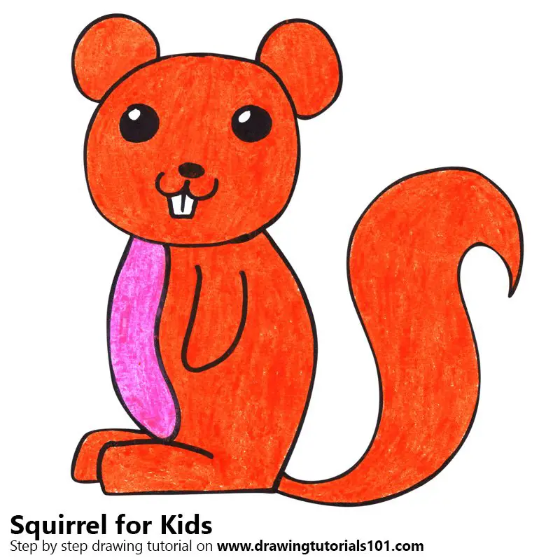 Learn How To Draw A Squirrel For Kids Animals For Kids Step By Step Drawing Tutorials