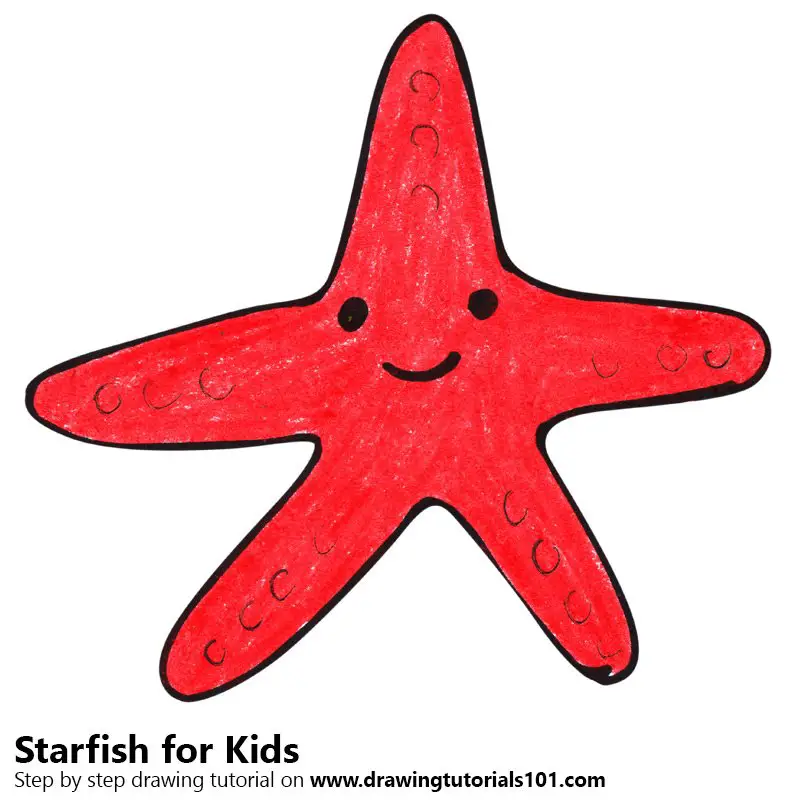 How to Draw a Starfish