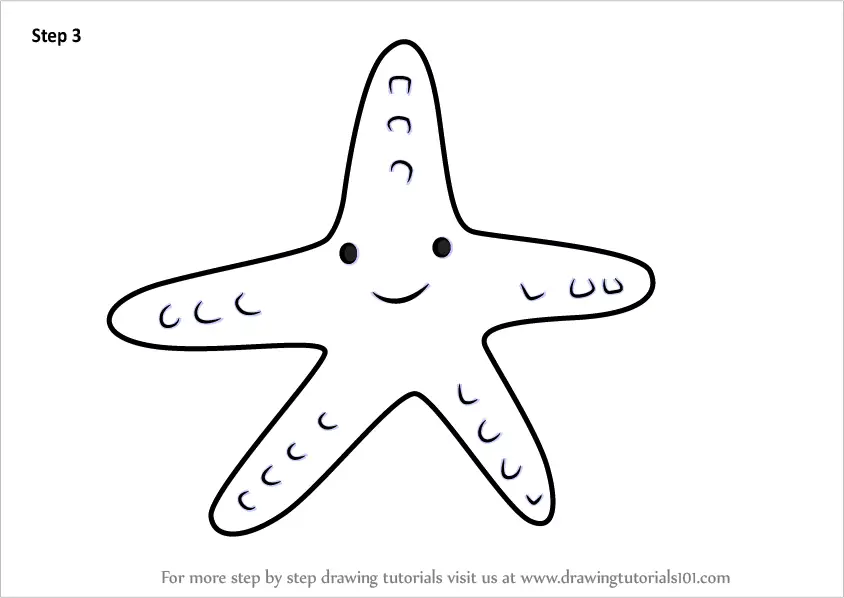 How to Draw a Starfish A starfish isnt really a fish  by Amanda Palmer   Medium