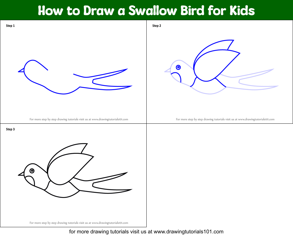 How to Draw a Swallow Bird for Kids Printable Step by Step