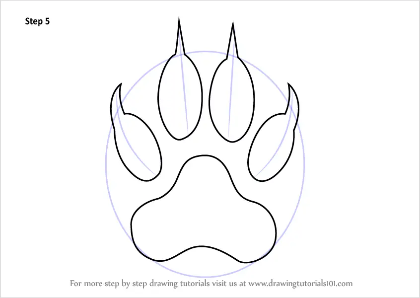 Learn How to Draw a Tiger Claw (Animals for Kids) Step by Step