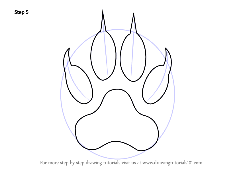 Learn How to Draw a Tiger Claw (Animals for Kids) Step by Step