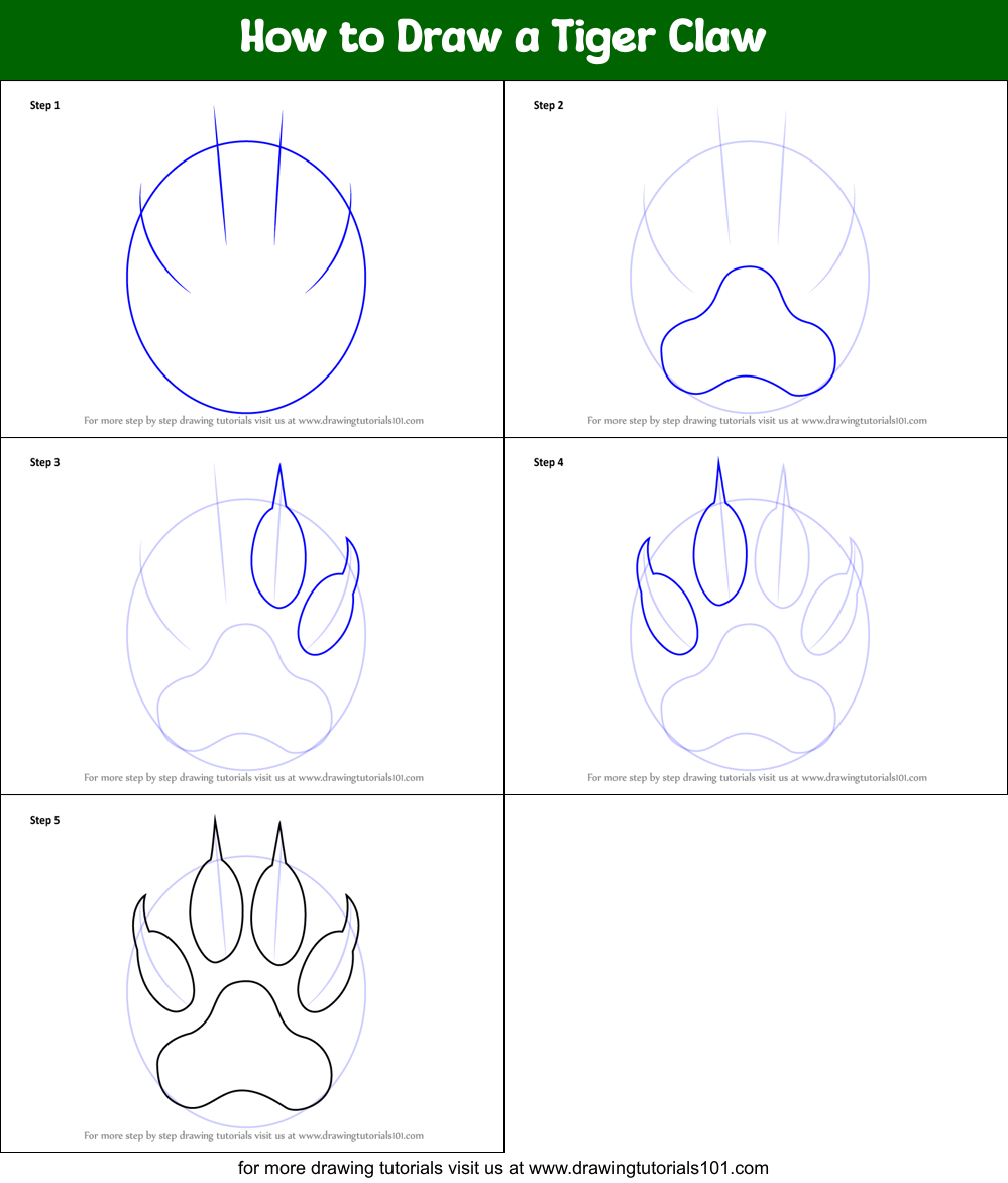 How to Draw a Tiger Claw Printable Step by Step