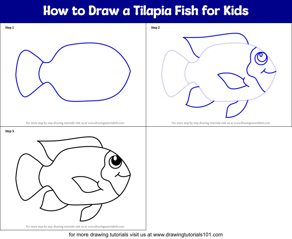 How To Draw A Fish? A Simple Technique For Kids - Caribu