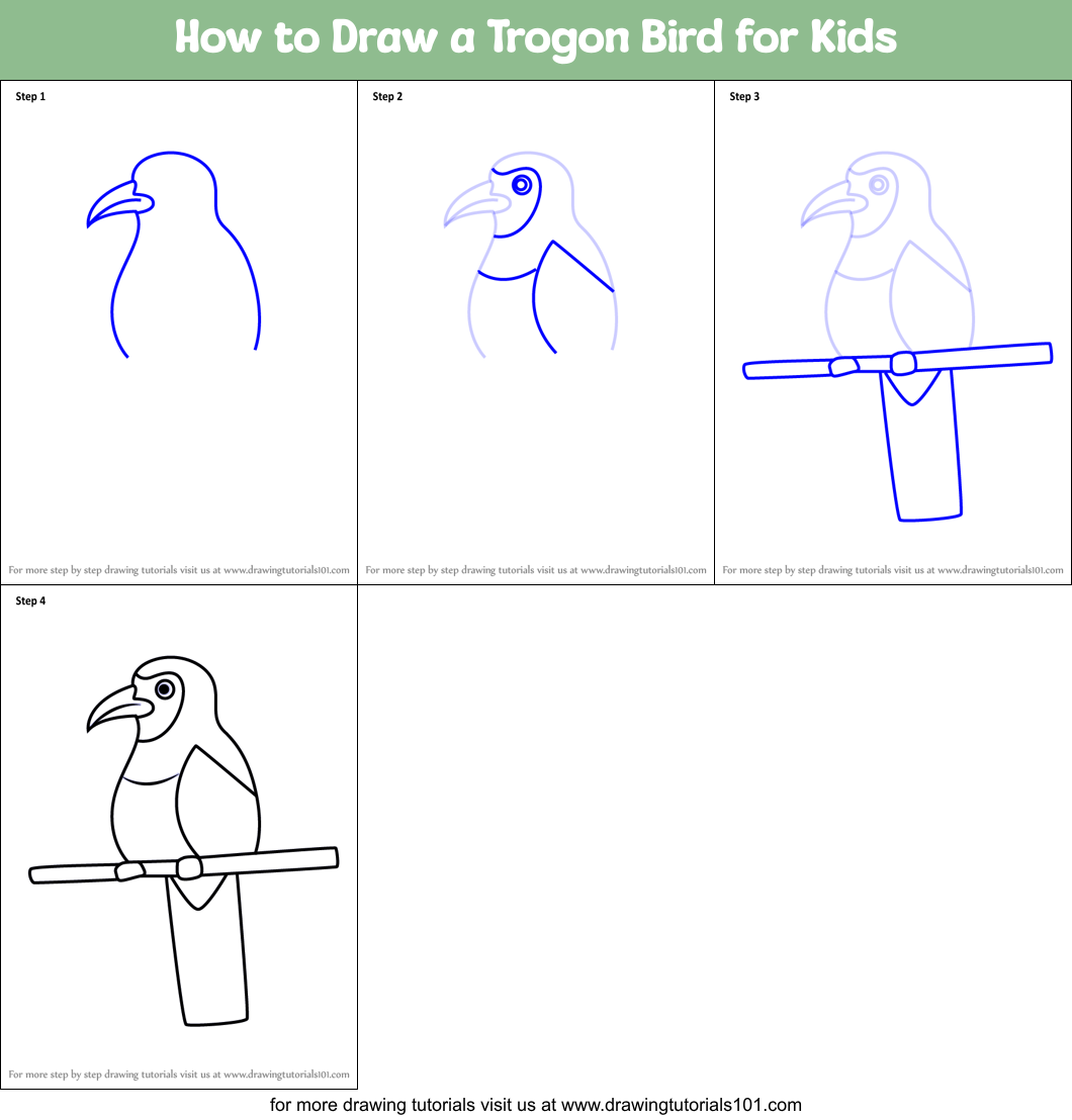 How to Draw a Trogon Bird for Kids Printable Step by Step