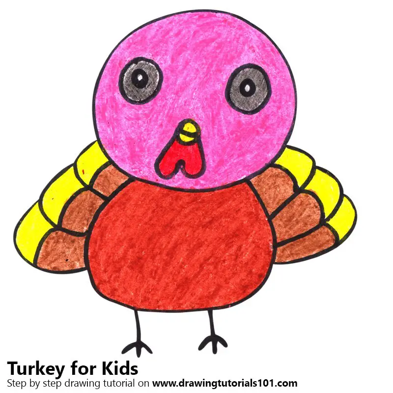 Learn How to Draw a Turkey for Kids (Animals for Kids) Step by Step :  Drawing Tutorials