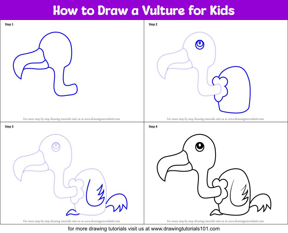 How to Draw a Vulture for Kids Printable Step by Step