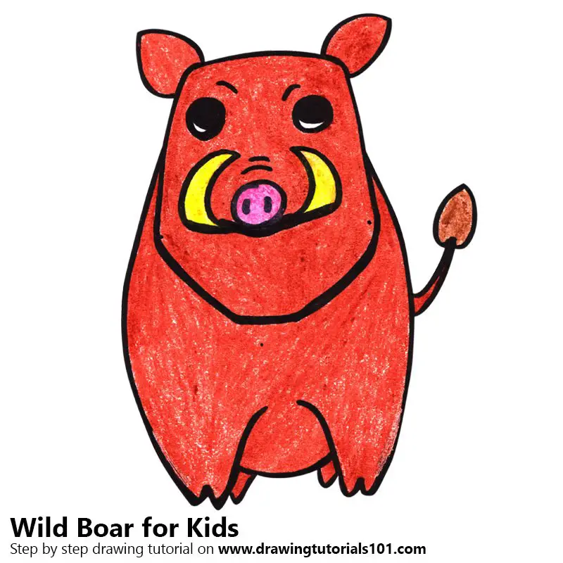 Learn How to Draw a Wild Boar for Kids Very Easy (Animals for Kids) Step by  Step : Drawing Tutorials