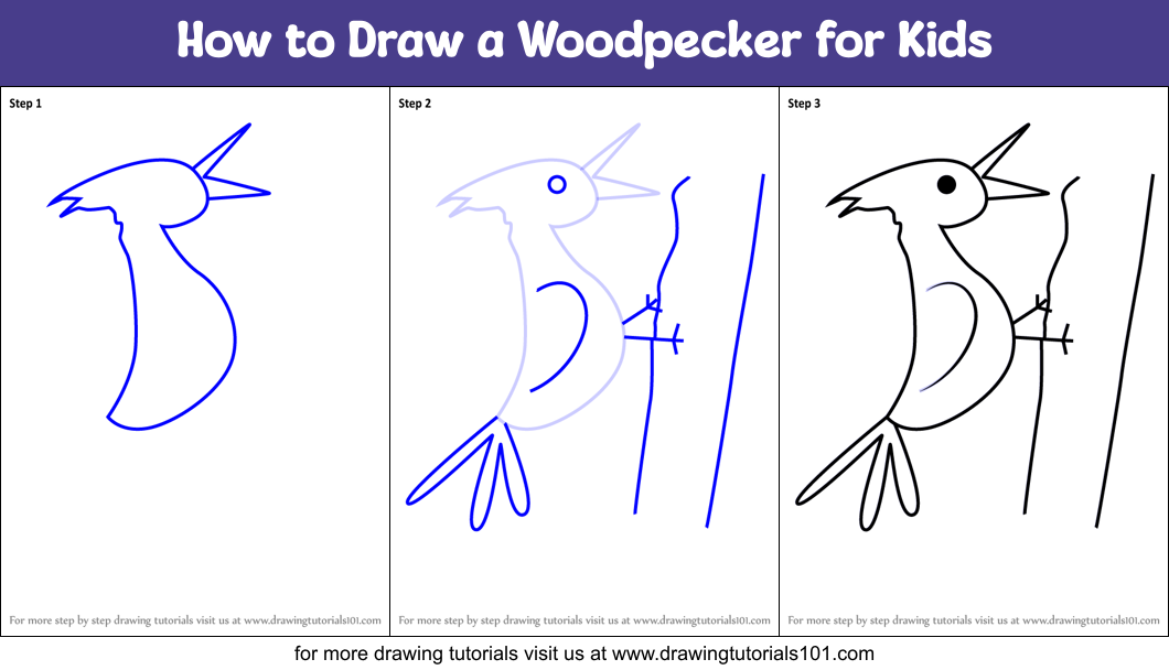 How to Draw a Woodpecker for Kids Printable Step by Step