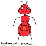 How to Draw an Ant from Letter A