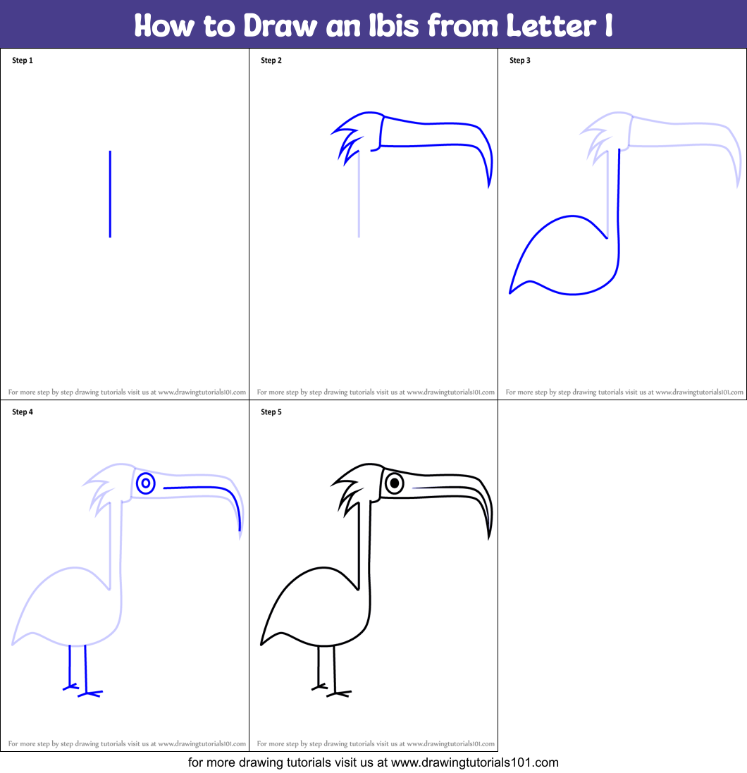 How to Draw an Ibis from Letter I Printable Step by Step