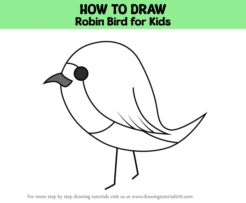 How To Draw Robin Bird For Kids Birds For Kids Step By Step