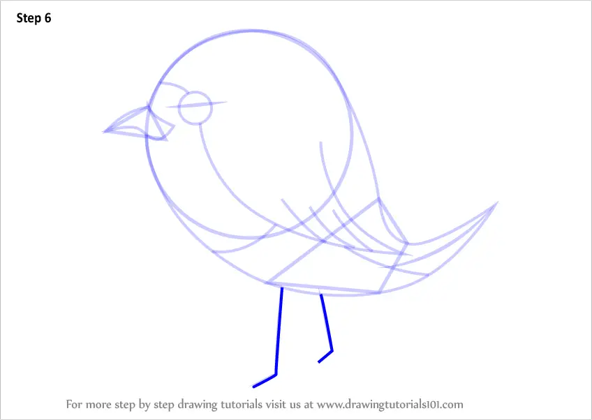 Learn How to Draw Robin Bird for Kids (Birds for Kids) Step by Step