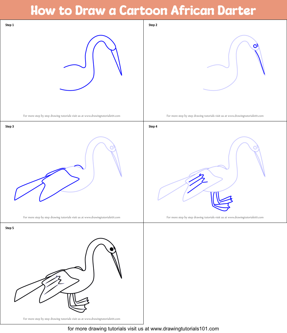 How to Draw a Cartoon African Darter Printable Step by Step