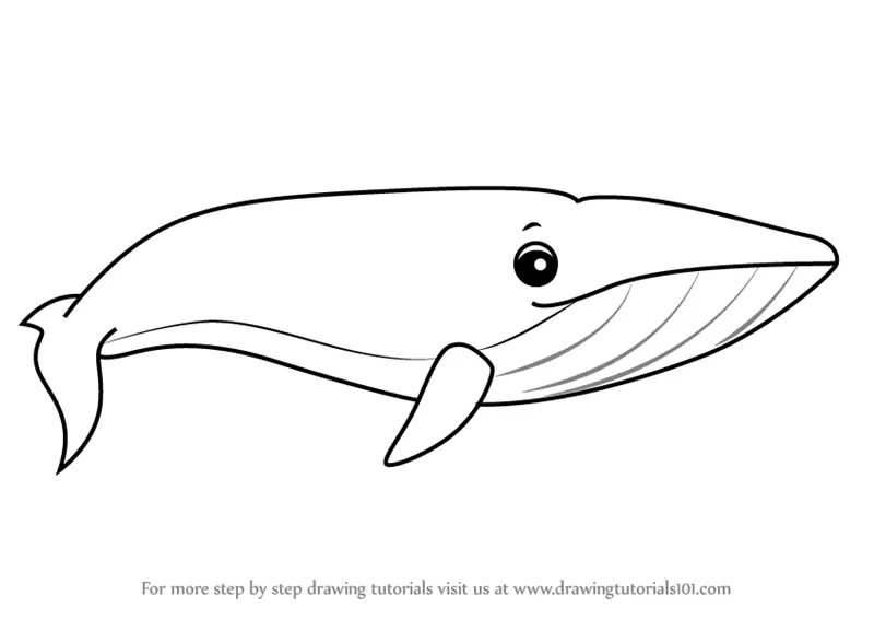 Learn How to Draw a Cartoon Blue Whale (Cartoon Animals) Step by Step